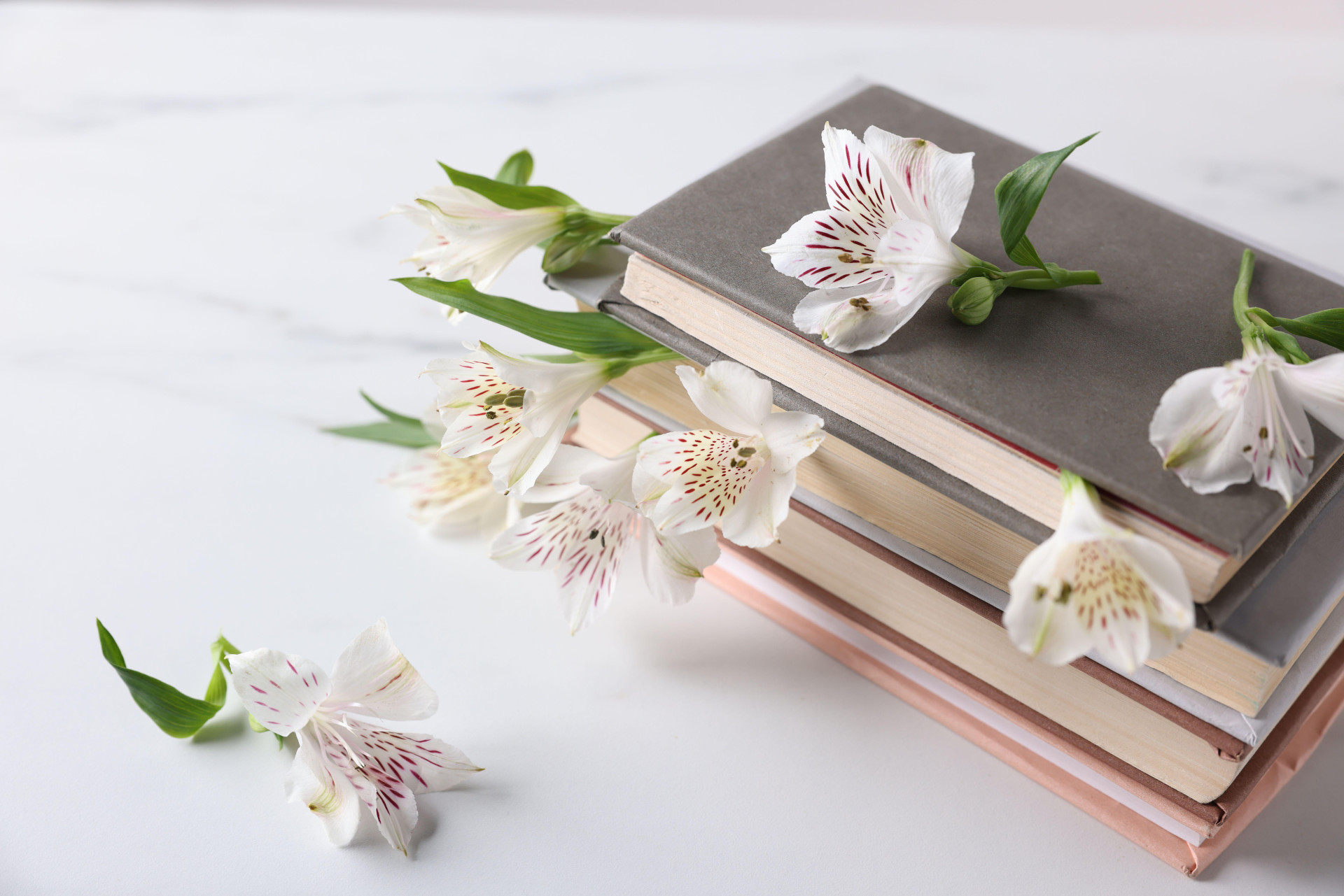 Books and flowers symbolizing a preserved family story